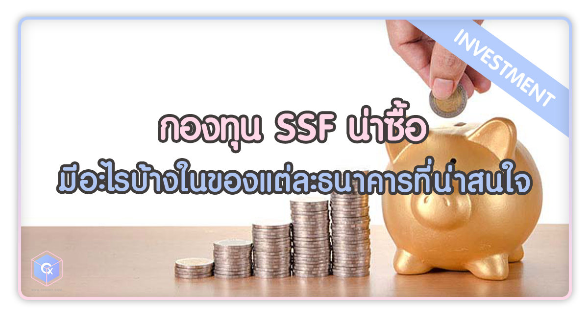 กองทุน SSF น่าซื้อ มีอะไรบ้างในของแต่ละธนาคารที่น่าสนใจ